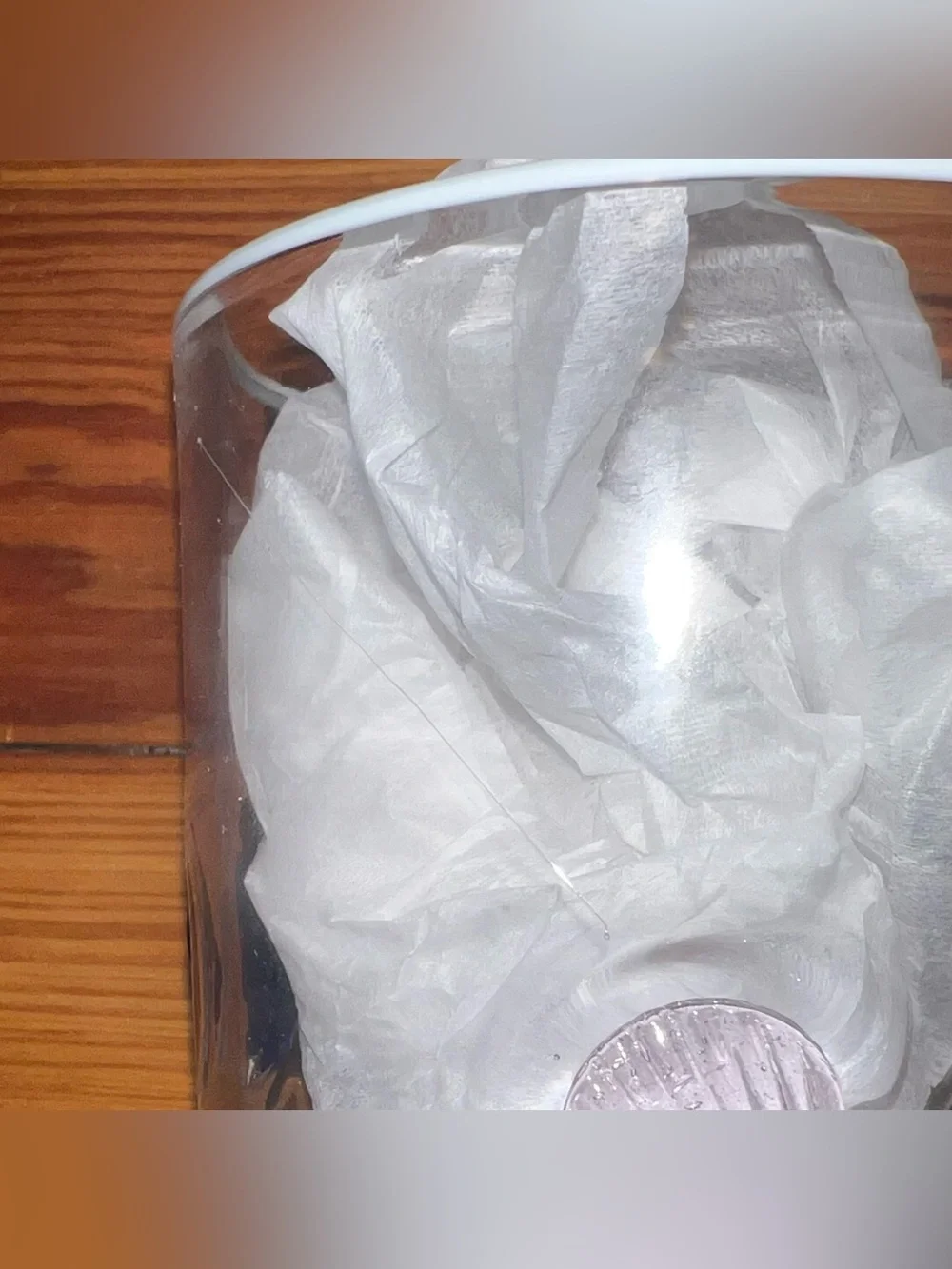 damaged ANTHROPOLOGIE Icon Seashell Glass